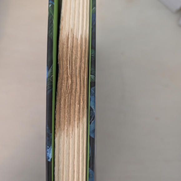 The Berry Pickers Novel by Amanda Peters - Picture 3 of 3